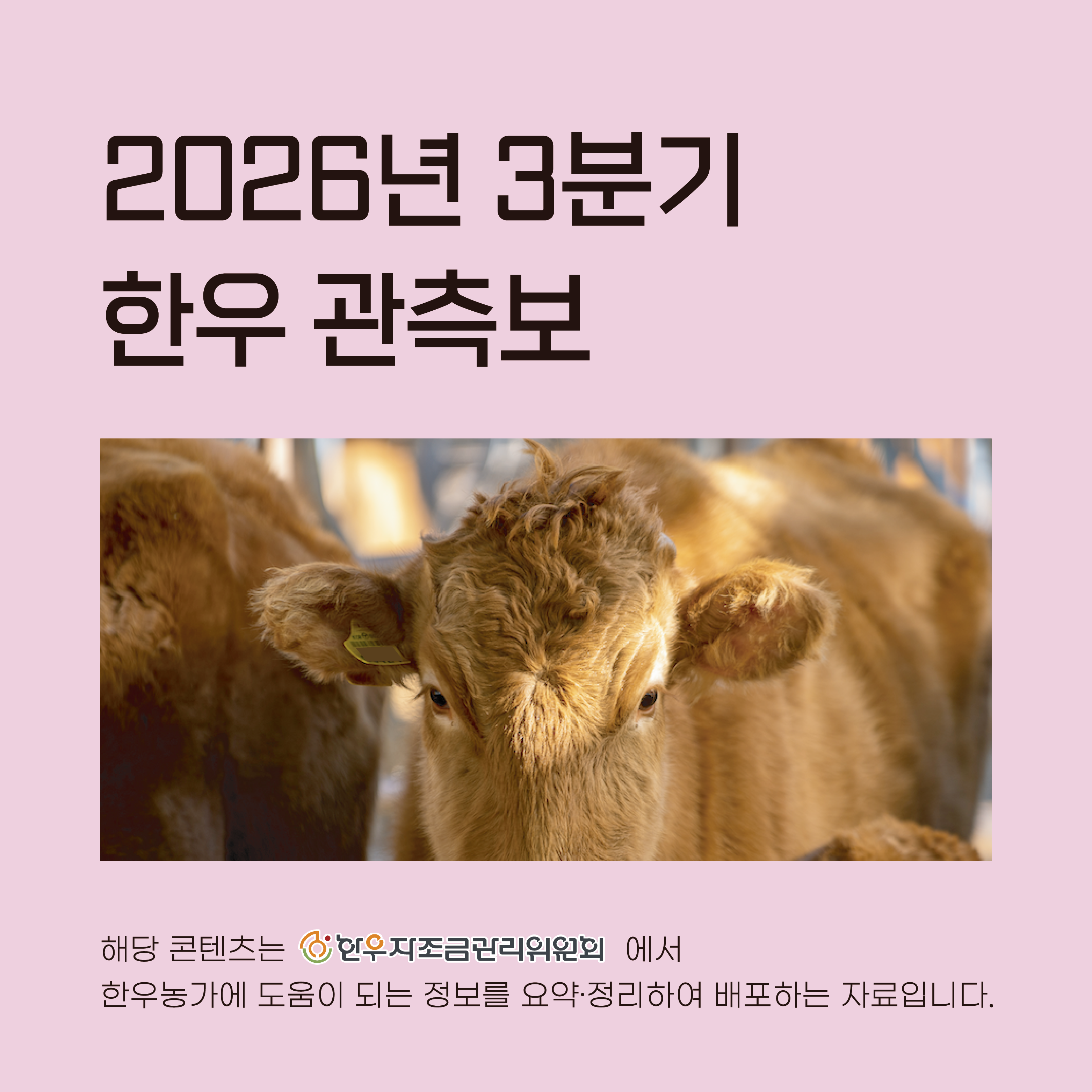 2026년 3분기 한우 관측보